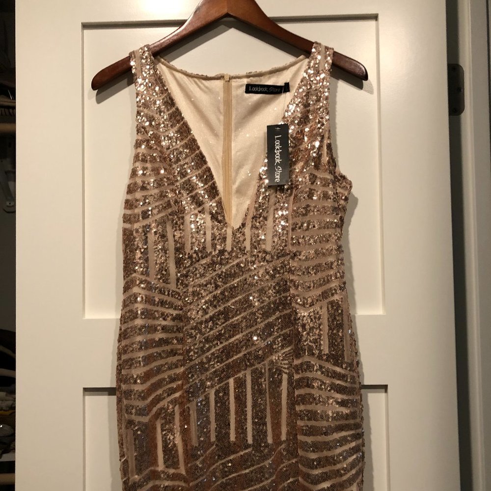 Lookbook Sequin Mini Dress